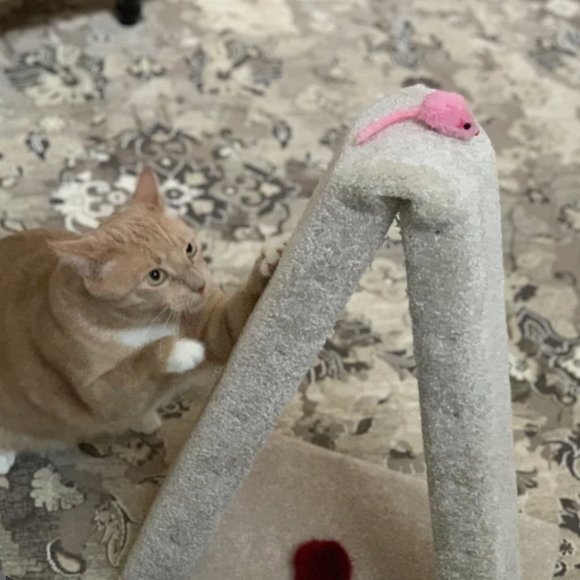 COPY - New A-Frame Cat Scratching Post - Picture 6 of 10